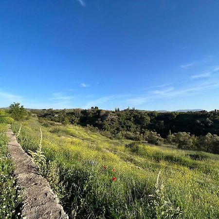 Villa Ignacia B&B - Naturaleza Entre Ronda Y Setenil Arriate Exteriör bild