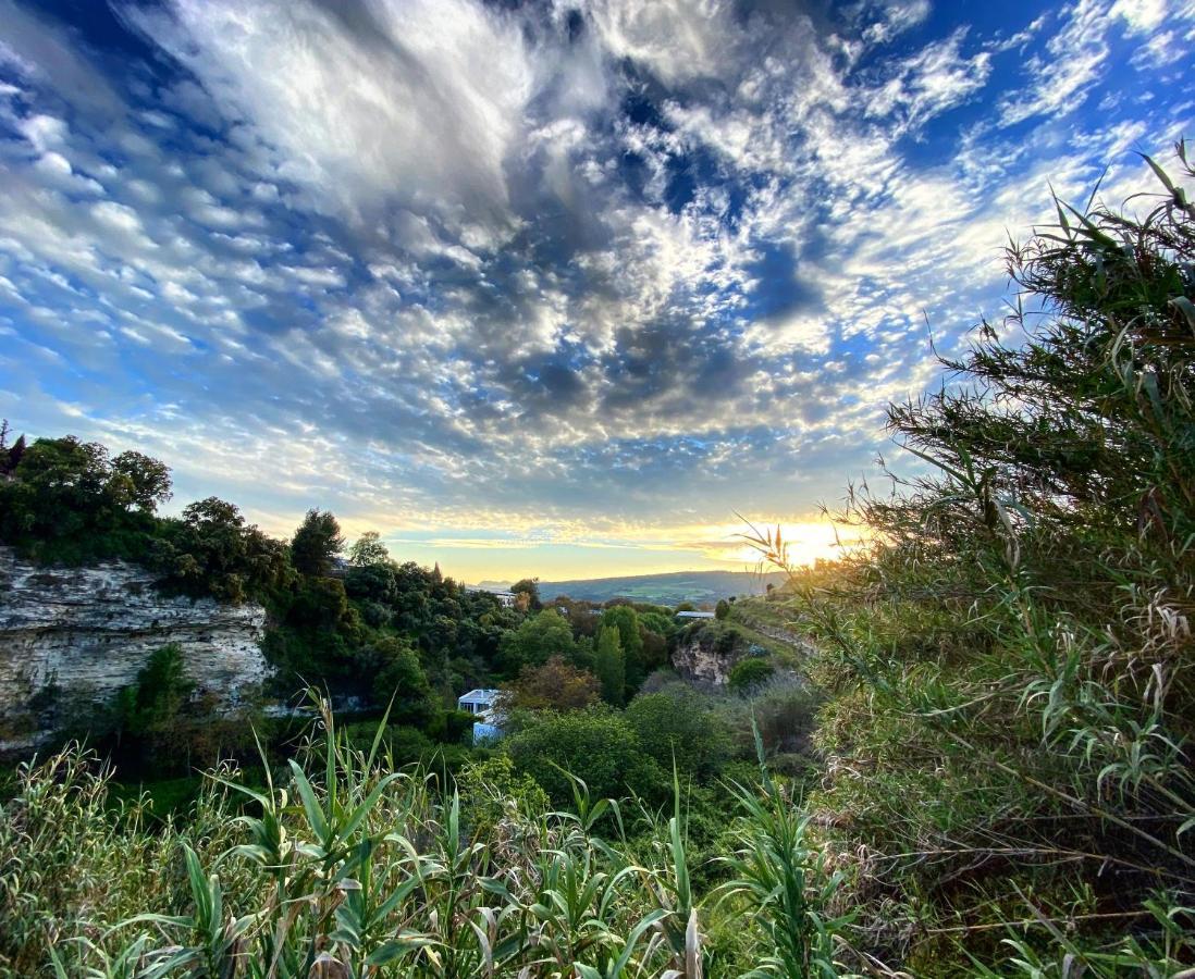 Villa Ignacia B&B - Naturaleza Entre Ronda Y Setenil Arriate Exteriör bild