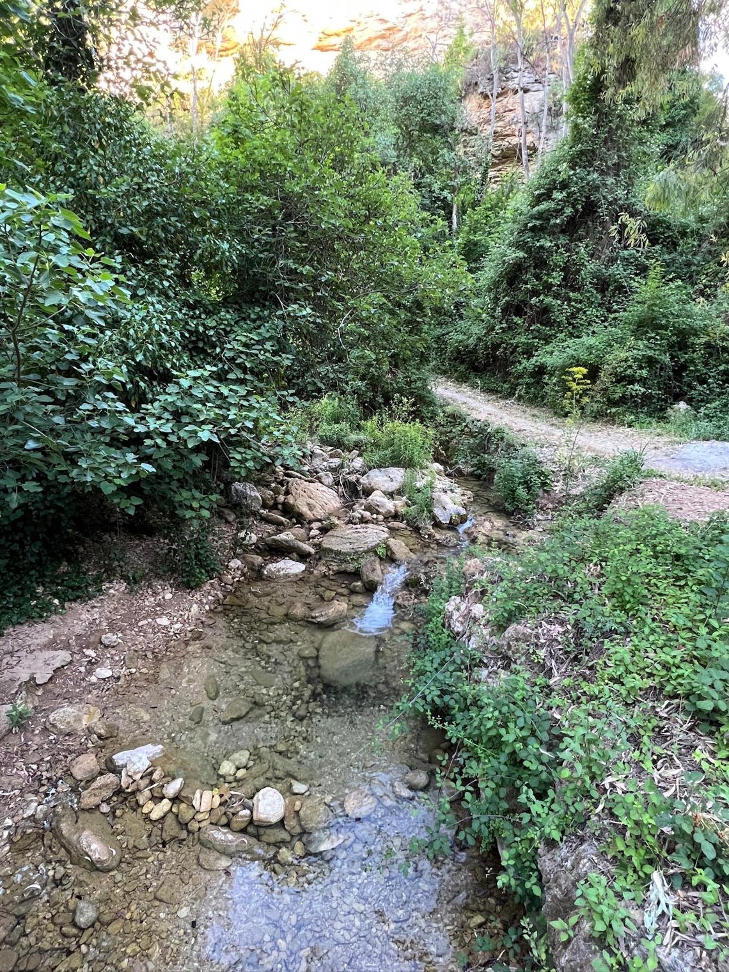 Villa Ignacia B&B - Naturaleza Entre Ronda Y Setenil Arriate Exteriör bild